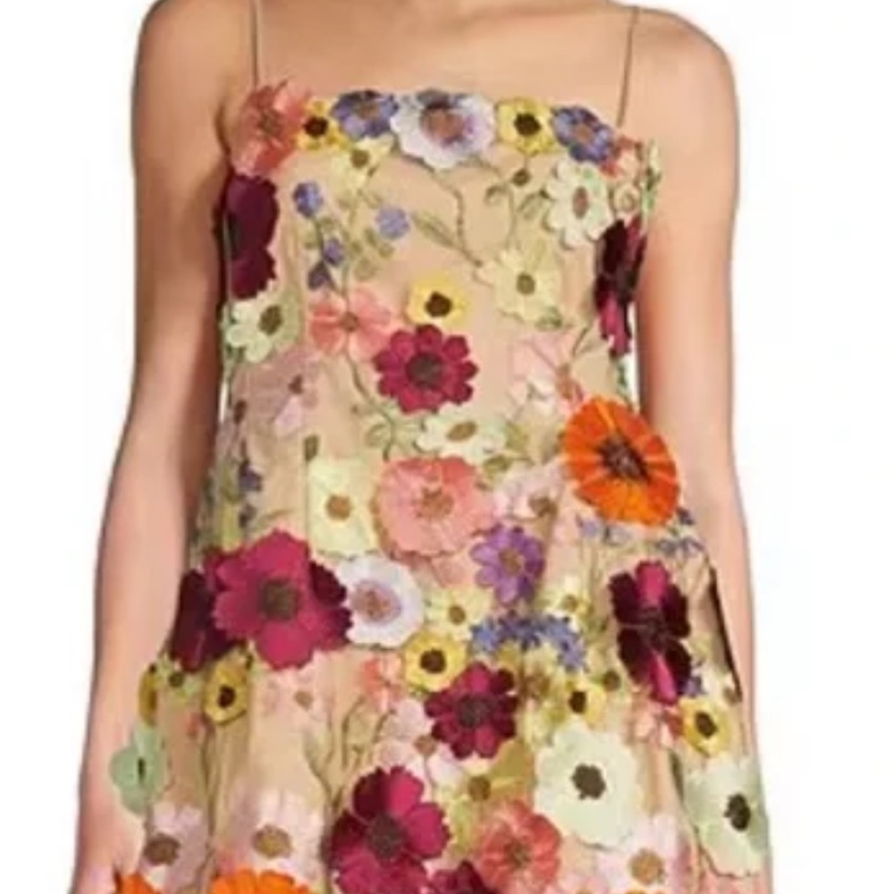 Floral Embroidered Dress